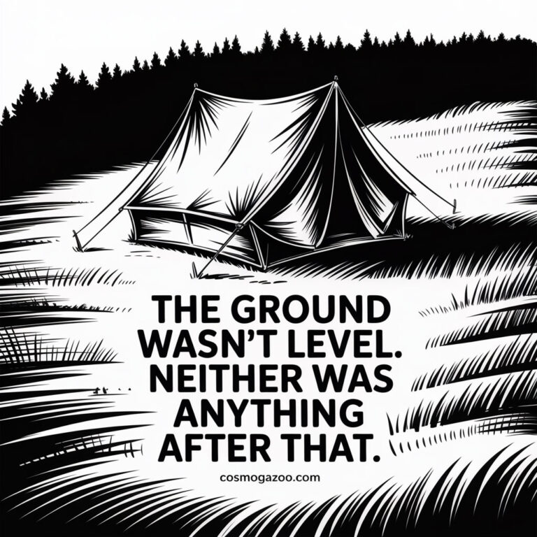 The Ground Wasn’t Level