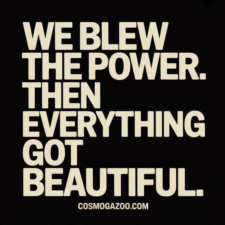 We Blew the Power